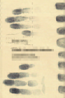Väzeň vlastných súdruhov - Štefan Drug