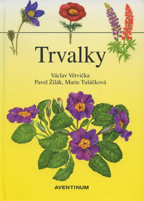 Trvalky - 