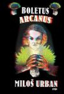 Boletus arcanus - 