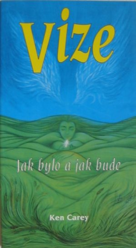 Vize - Jak bylo a jak bude
