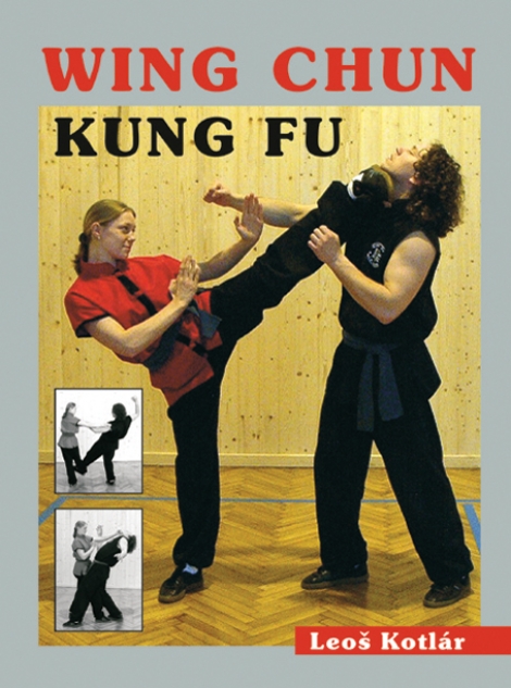 Wing chun kung fu - 