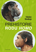 Prehistorie rodu Homo - 