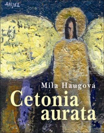 Cetonia aurata - Mila Haugová
