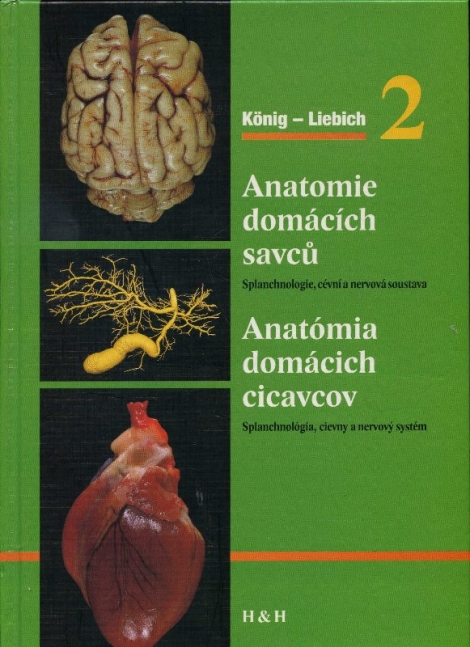 Anatomie domácích savců 2 / Anatómia domácich cicavcov 2 - Splanchnológia, obehový a nervový systém
