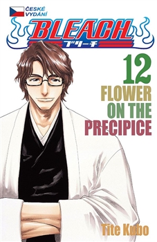 Bleach 12: Flower on the Precipice - 
