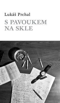S pavoukem na skle - 