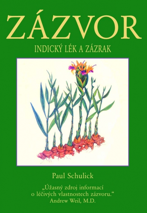 Zázvor - Indický zázrak a lék