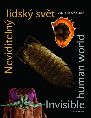 Neviditelný lidský svět/Invisible Humann World - 