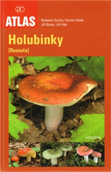 Holubinky - 