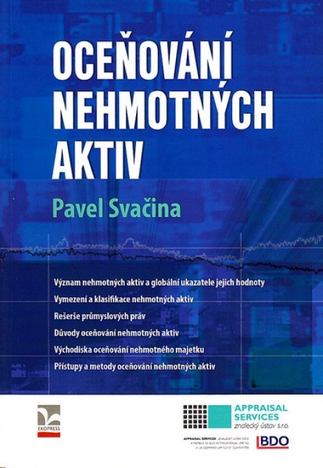 Oceňování nehmotných aktiv - 