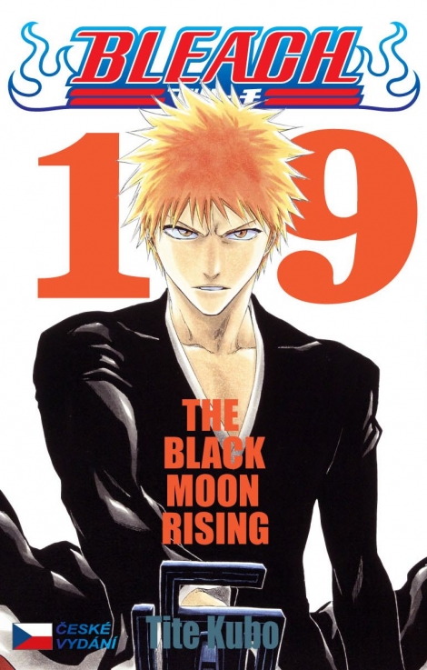 Bleach 19: The Black Moon Rising - 