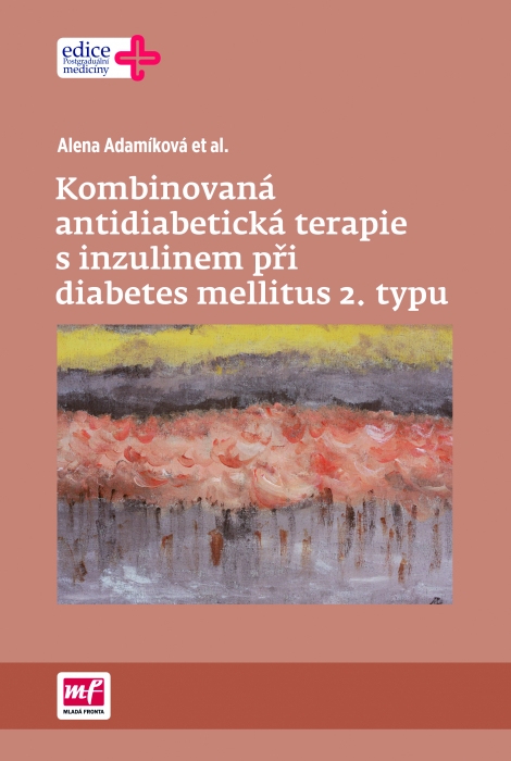 Kombinovaná antidiabetická terapie s inzulinem při diabetes mellitus 2. typu - 