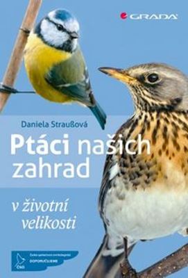 Ptáci našich zahrad - V životní velikosti