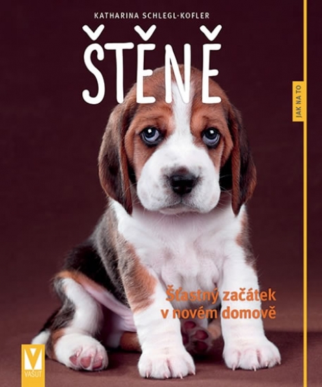 Štěně - Šťastný začátek v novém domově - Jak na to