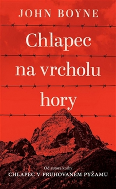 Chlapec na vrcholu hory - 