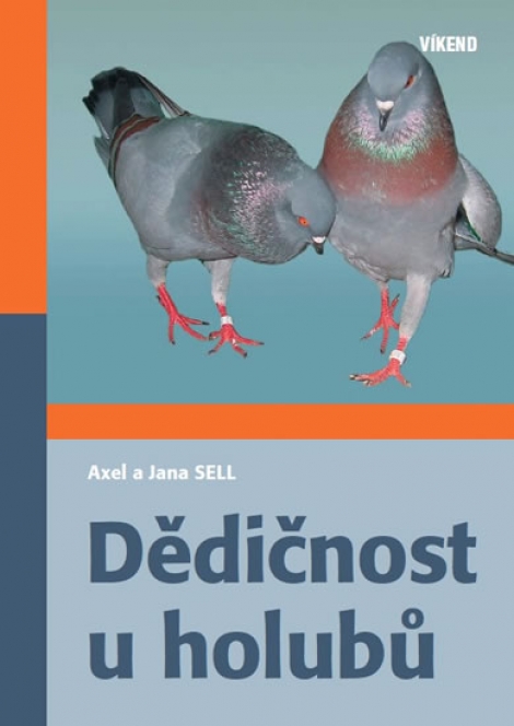Dědičnost u holubů - 