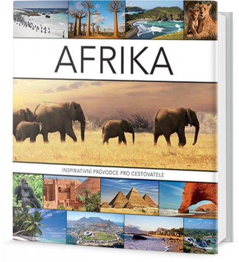 Afrika - Joyce Koster