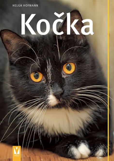 Kočka - 