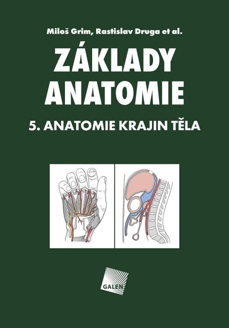 Základy anatomie 5. - Anatomie krajin těla