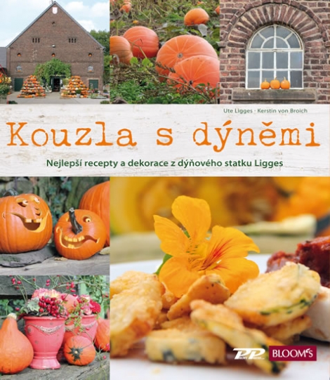 Kouzla s dýněmi - Ute Ligges, Kerstin von Broich