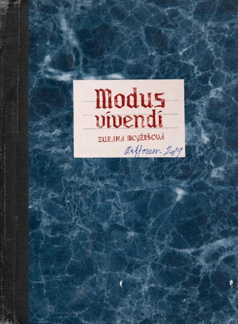 Modus vivendi - 