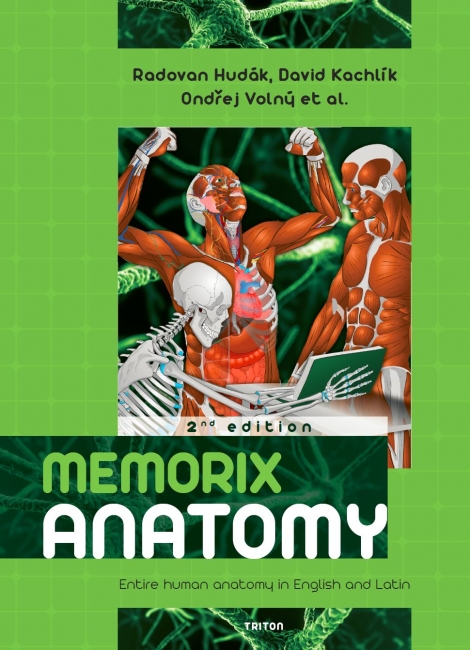 Memorix anatomy 2 nd edition - Entire human anatomy in English and Latin