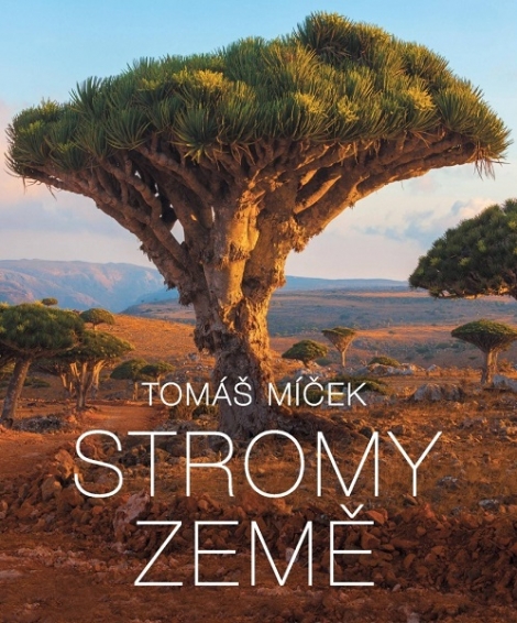 Stromy Země - 