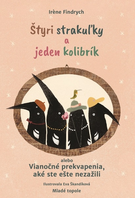 Štyri strakuľky a jeden kolibrík alebo Vianočné prekvapenia, aké ste ešte nezažili - 