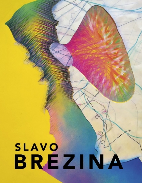 Slavo Brezina - monografia - 