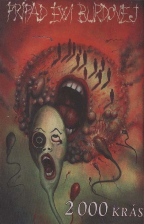 Prípad Ewi Burdovej - Prípad Ewi Burdovej