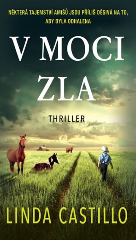 V moci zla - Případy Kate Burkholderové 8