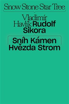 Sníh, kámen, hvězda, strom