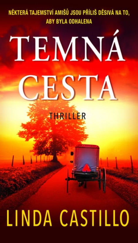 Temná cesta - Případy Kate Burkholderové 9