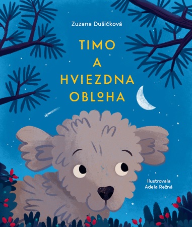 Timo a hviezdna obloha - 