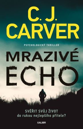 Mrazivé echo - Psycholog Harry Hope (1.díl)