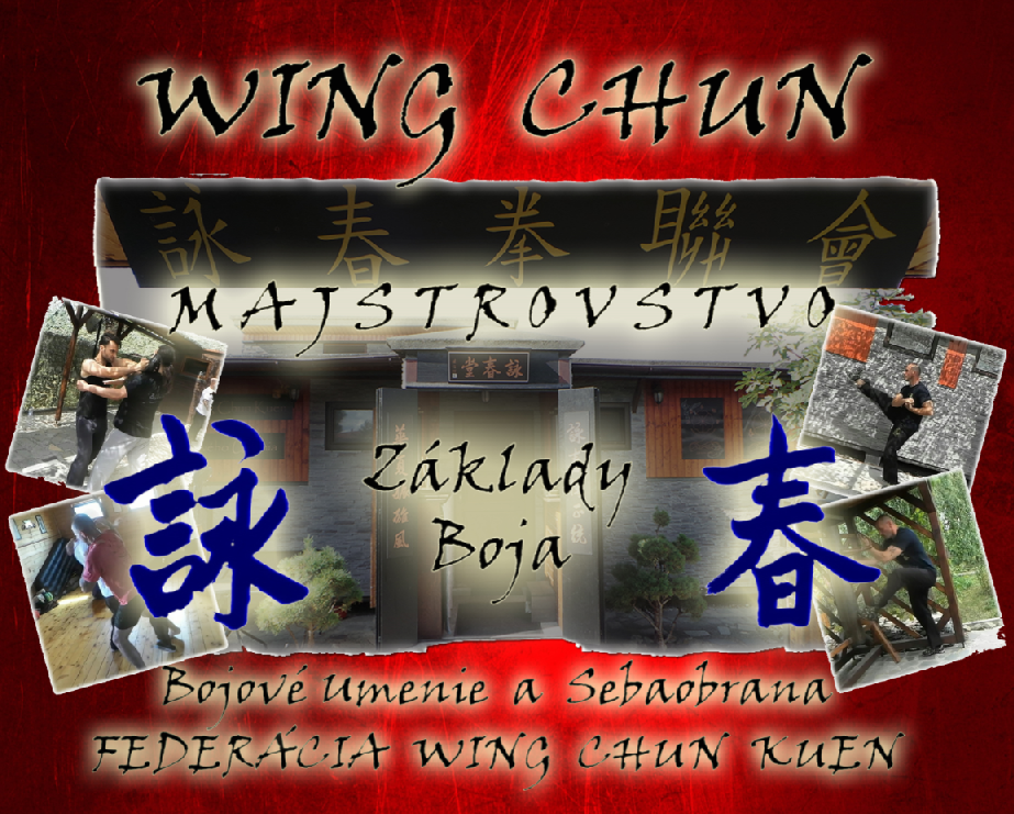 Wing Chun Majstrovstvo. Základy Boja + DVD - 