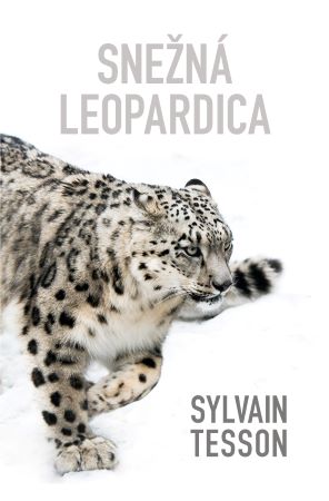 Snežná leopardica - 