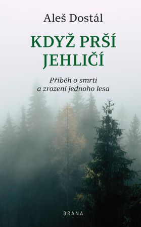 Když prší jehličí - 