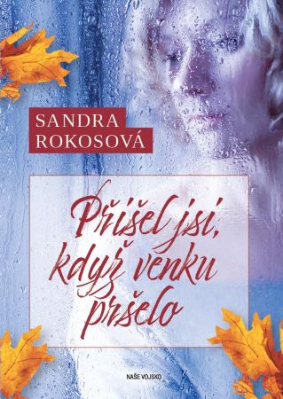 Přišel jsi, když venku pršelo - 