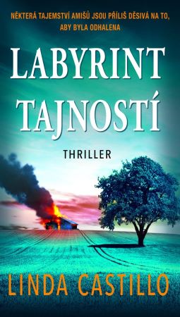 Labyrint tajností - Případy Kate Burkholderové (10.díl)