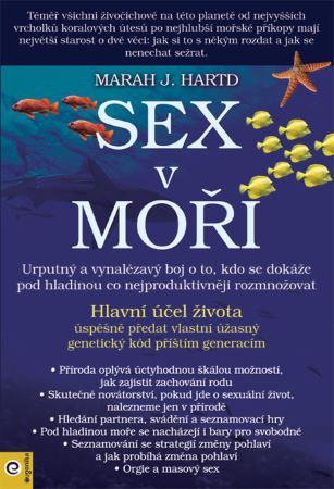 Sex v moři - 