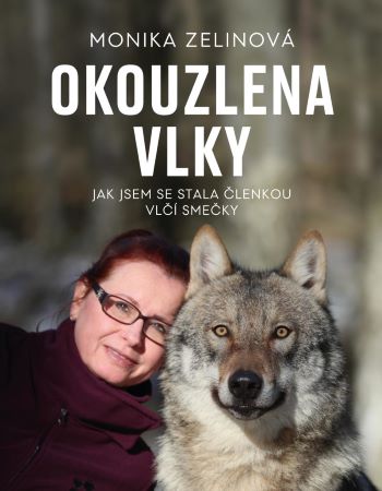 Okouzlena vlky - Jak jsem se stala členkou vlčí smečky