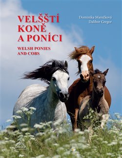 Velští koně a poníci - 