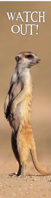 3D záložka - Watch out! - 