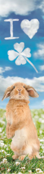 3D záložka - I love clover - 