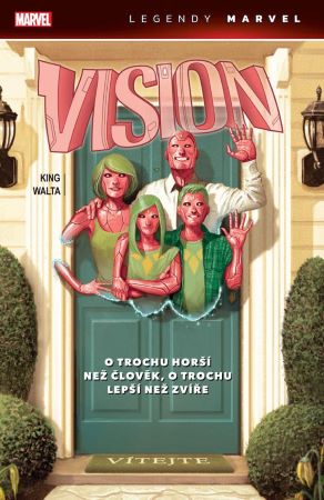 Vision - 