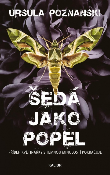 Šedá jako popel - Vanitas (2.díl ze 3)