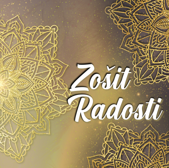 Zošit Radosti - Michal Drienik