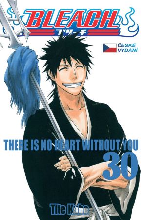 Bleach 30: There Is No Heart Withnout You - 