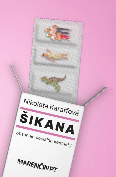 Šikana - 